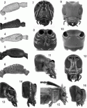 Fig. 48.2.–48.16