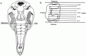 Fig. 10.2