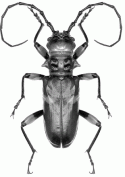 Fig. 47.1