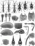 Fig. 43.10