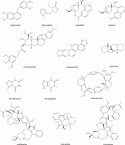 Fig. 4.3