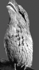 Fig. 4.4.