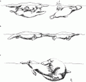 Fig. 2.7