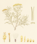 Fig.16