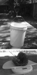 Fig. 3.9