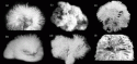 Fig. 7.6.