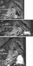 Fig. 7.8.