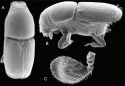 Fig. 46.5