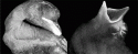 Fig. 8.2.