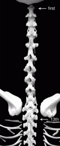 Fig. 3.6.