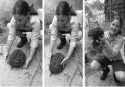 Fig. 3.8