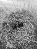 Fig. 6.2