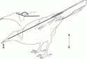 Fig. 11.15.