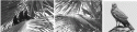 Fig. 11.14.