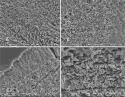 Fig. 8