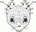 Fig. 4.3