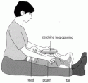 Fig. 10.13