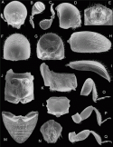 Fig. 46.30