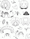 Fig. 43.6