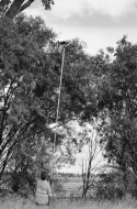 Fig. 7.4