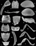Fig. 43.30