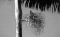 Fig. 7.2.