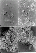 Fig. 4.7