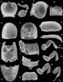 Fig. 46.14