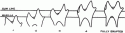 Fig. 10.1