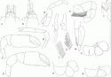 Fig. 9.14