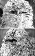 Fig. 2.2.