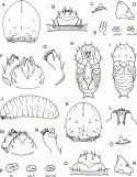 Fig. 46.6