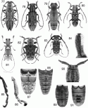 Figs 48.77–48.91