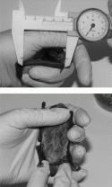 Fig. 13.14