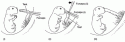 Fig. 10.19