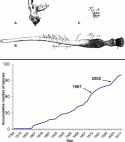 Fig. 9