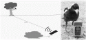Fig. 11.7.