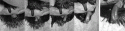 Fig. 3.15