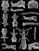 Fig. 43.14