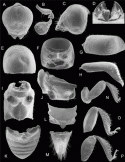 Fig. 46.27