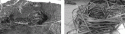 Fig. 2.11
