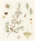 Fig.42