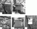 Fig. 9.4