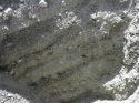Fig. 5.52