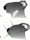 Fig. 7.1