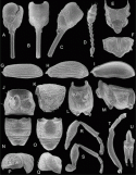 Fig. 43.34