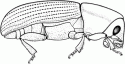 Fig. 46.1