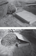 Fig. 3.5