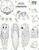 Fig. 43.7