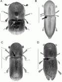 Fig. 46.2